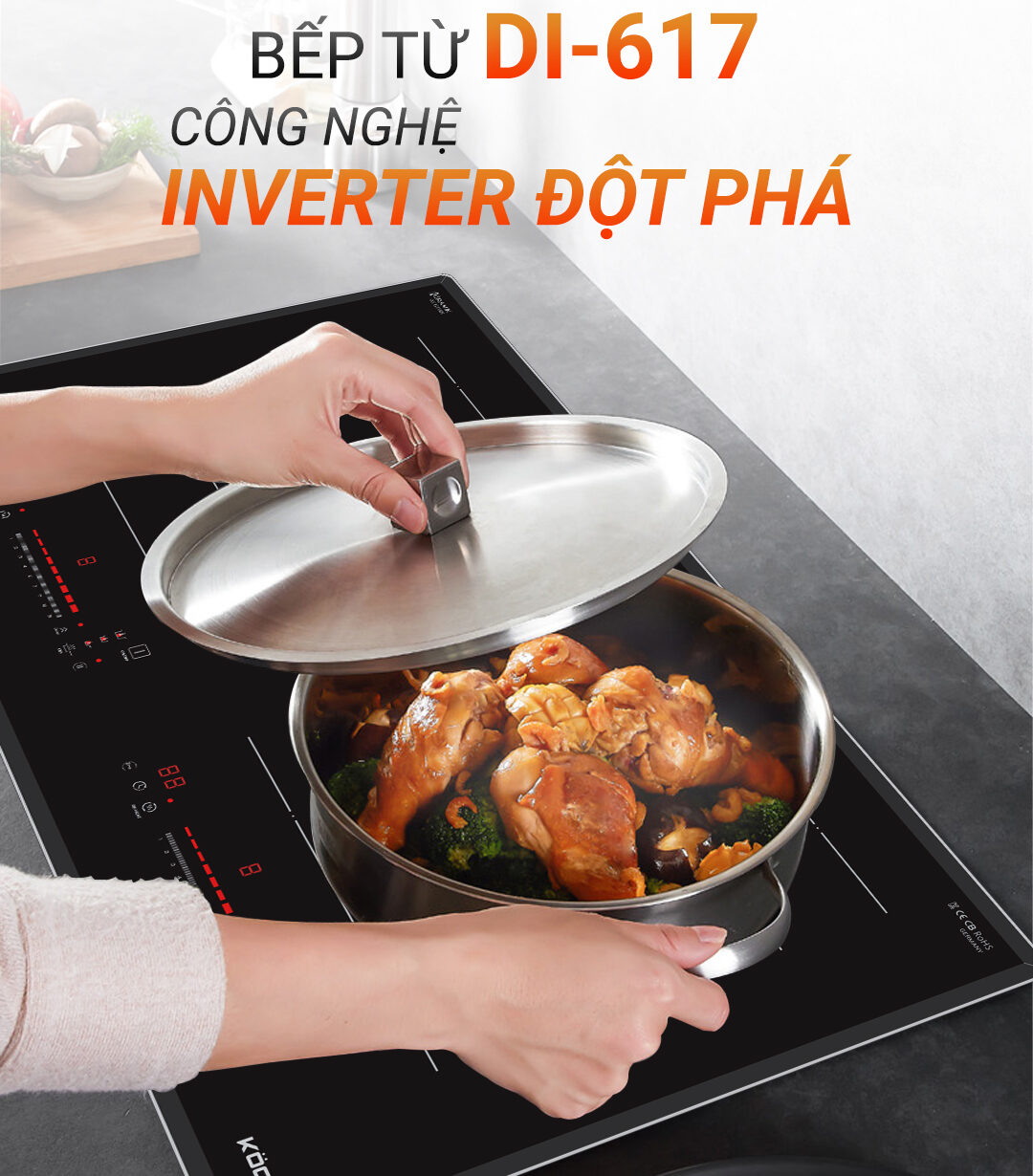 BẾP TỪ DI-617 BẾP TỪ DI-617